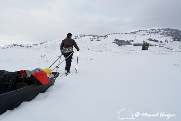 Bethanie Walder pulls cargo sled on cross country skis, Wyoming, USA