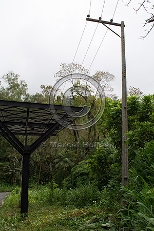 Canopy crossing, "park road" (estrada-parque) Capelinha-Mauá (R