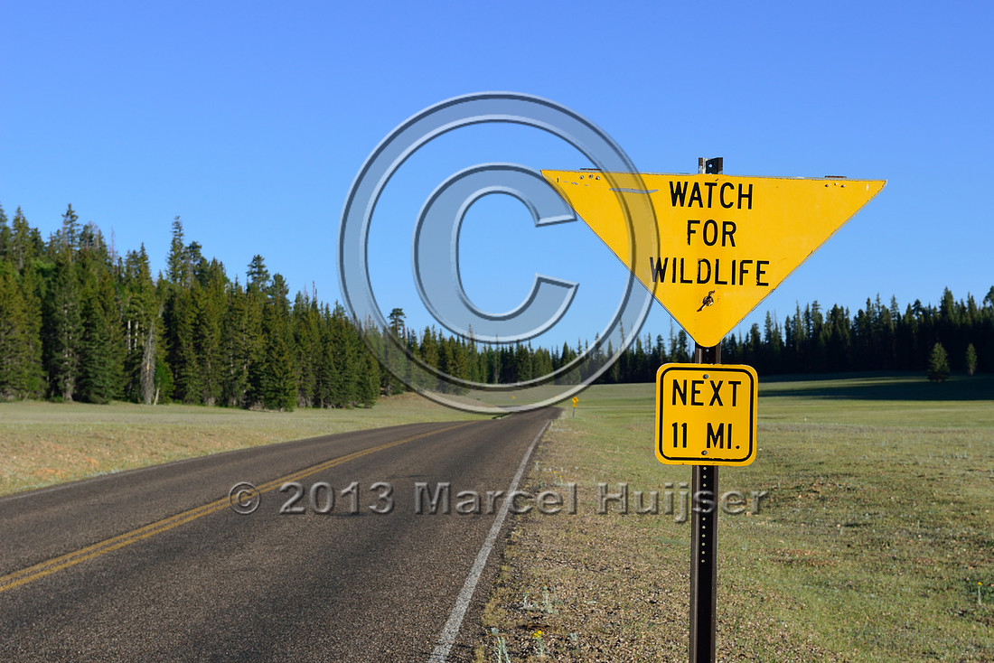 Road ecology blog: Wildlife warning sign, watch for wildlife, next 11 mi, Arizona, USA