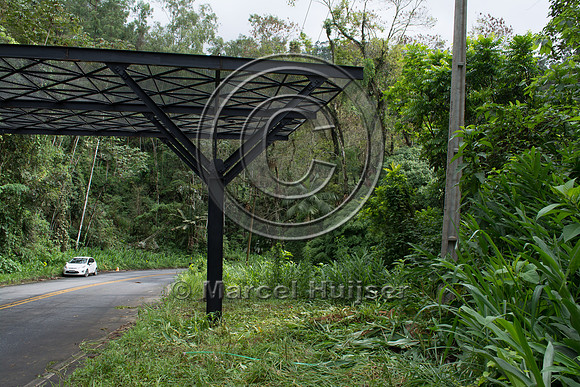 Canopy crossing, "park road" (estrada-parque) Capelinha-Mauá (R
