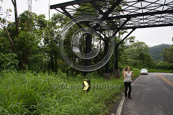 Canopy crossing, "park road" (estrada-parque) Capelinha-Mauá (R
