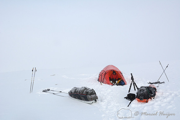 The making of the muskoxen images, camp 2, Dovrefjell National Park, Norway