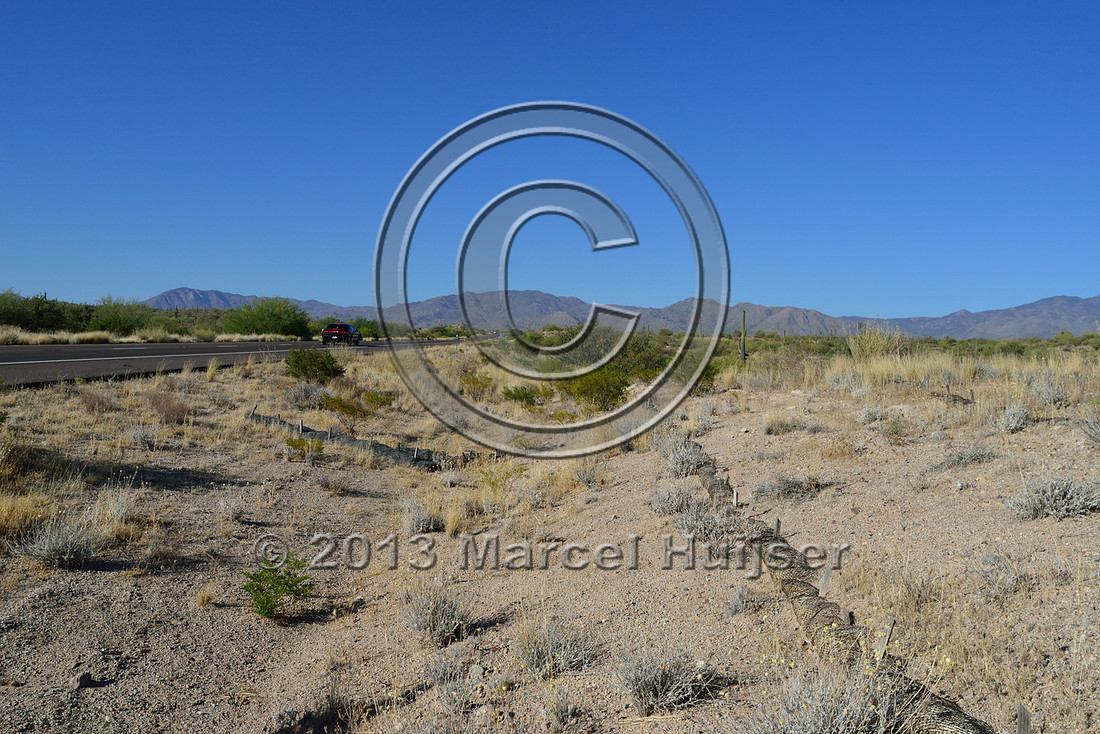 Road ecology blog: Straw fiber rolls to control erosion on a road cut, Hwy 87, Arizona, USA