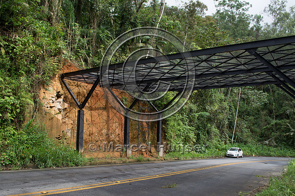 Canopy crossing, "park road" (estrada-parque) Capelinha-Mauá (R