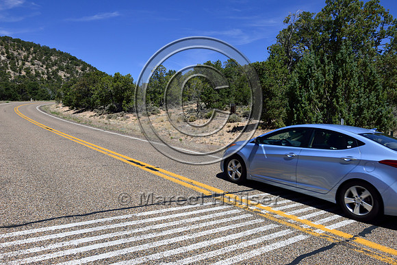Painted stripes on pavement as a virtual cattle guard, Hwy 89A, east of Jacob Lake, Arizona, USA