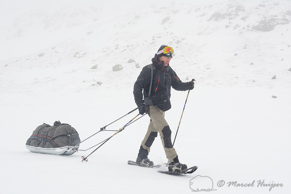 The making of the muskoxen images. Niels Kooijman pulls his Fjellpulken sled, Dovrefjell National Park, Norway