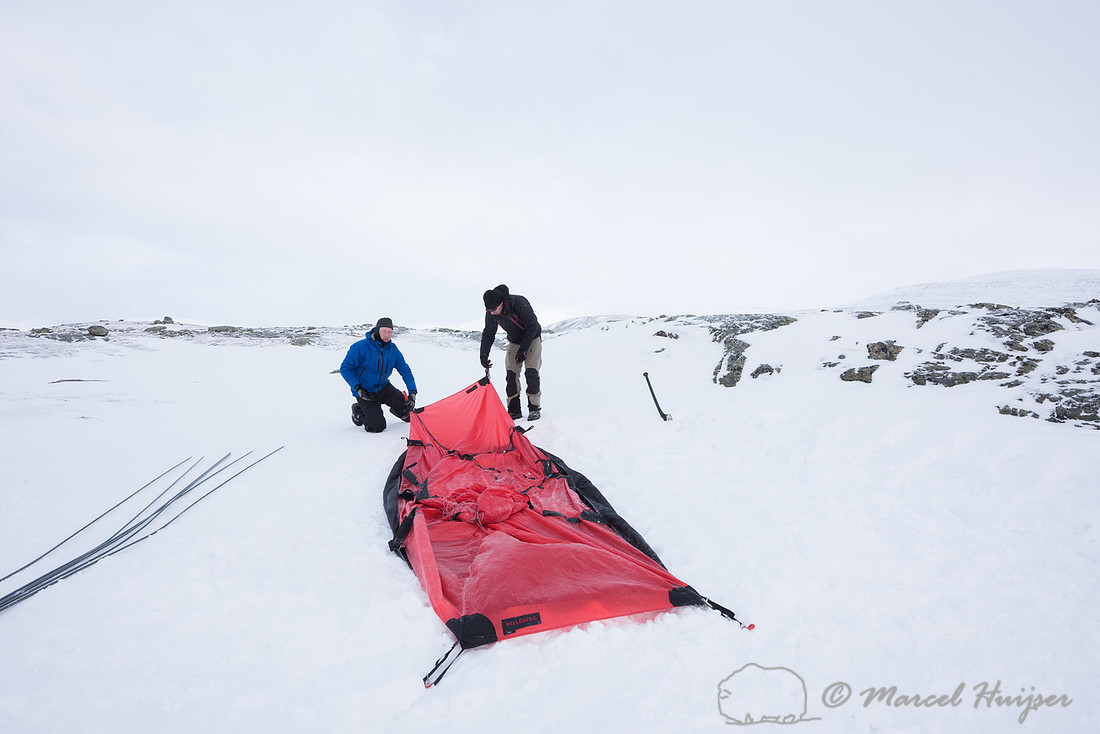 Niels Kooijman and Marcel Huijser pitch the tent, Dovrefjell, No