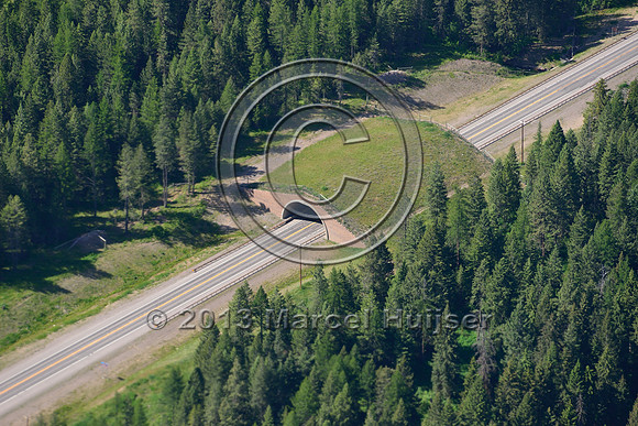 Wildlife overpass, US Hwy 93, Flathead Indian Reservation, Montana, USA