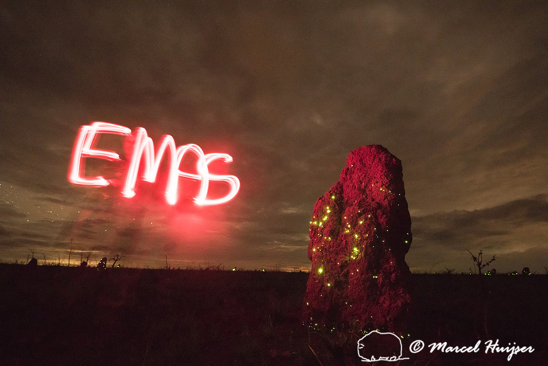 EMAS (Parque Nacional das Emas) light painted with flashlights n
