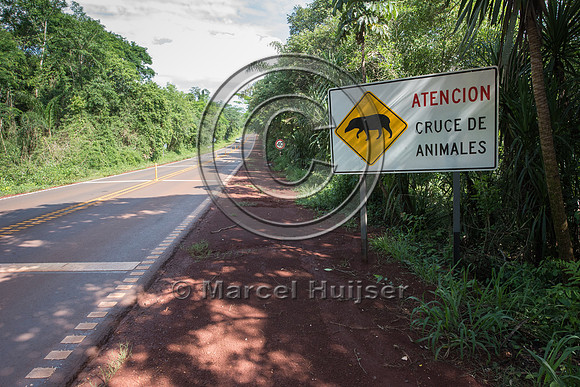 Wildlife warning sign for South American tapir,Argentina