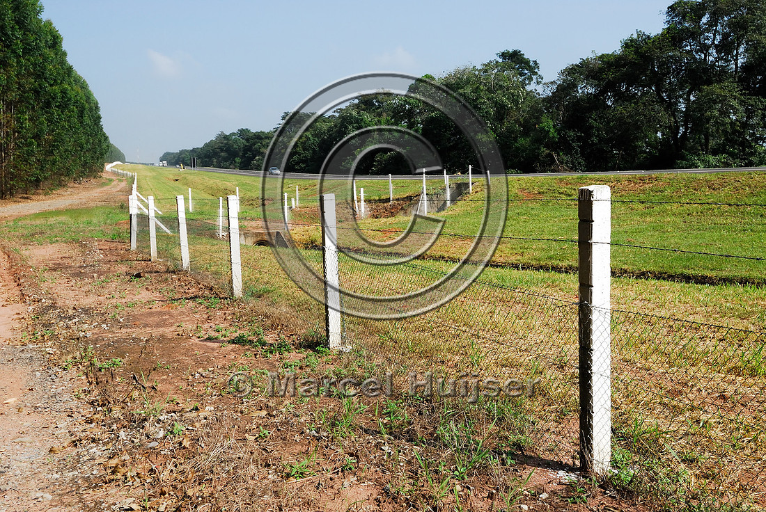 Road ecology blog: Fence and multifunctional underpass, SP-225, near Brotas, Brazil