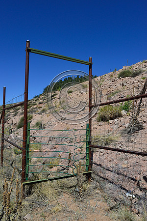 A one-way gate designed to allow wildlife to escape from the fenced road corridor, Arizona, USA