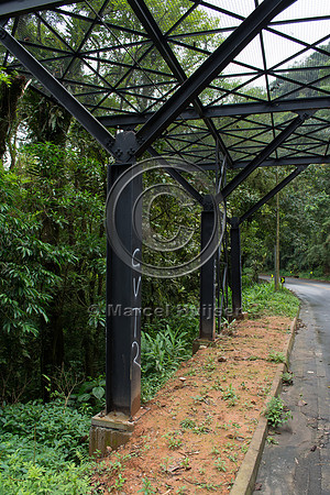 Canopy crossing, "park road" (estrada-parque) Capelinha-Mauá (R