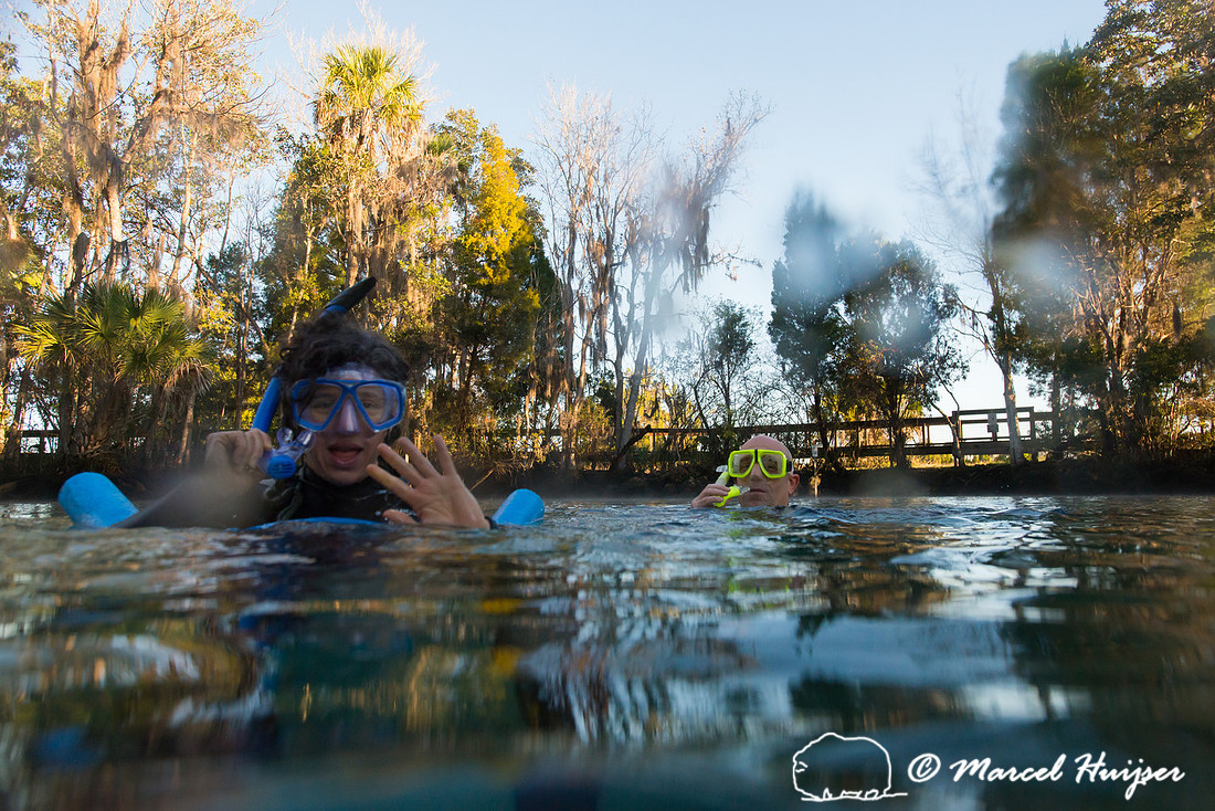 Bethanie Walder and Ted Walder snorkel with West Indian manatee
