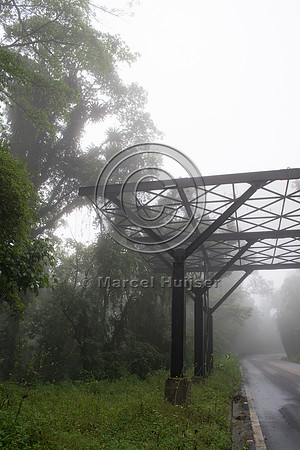 Canopy crossing for arboreal mammals, "park road" (estrada-parqu