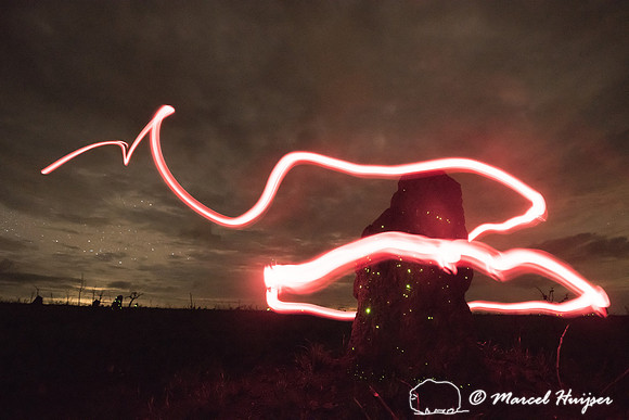 Running deer  painted with flashlights next to a termite mound w