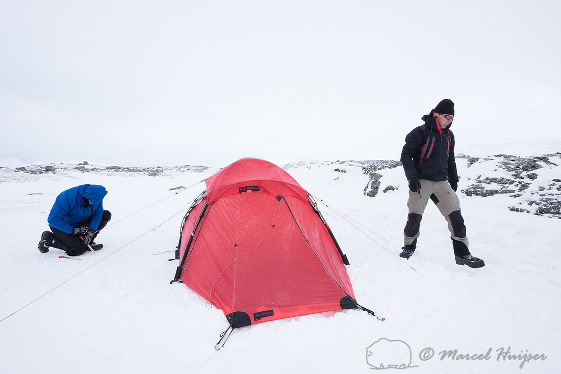 Niels Kooijman and Marcel Huijser pitch the tent, Dovrefjell, No