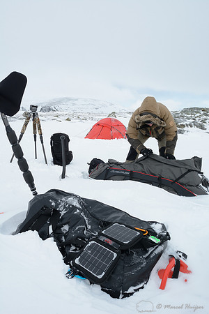 The making of the muskoxen images, My Voltaic Amp Solar Charger to recharge camera batteries, Dovrefjell National Park, Norway