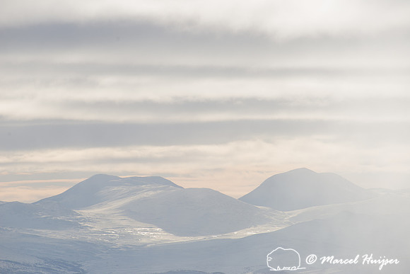 Winter landscape, Dovrefjell, Norway