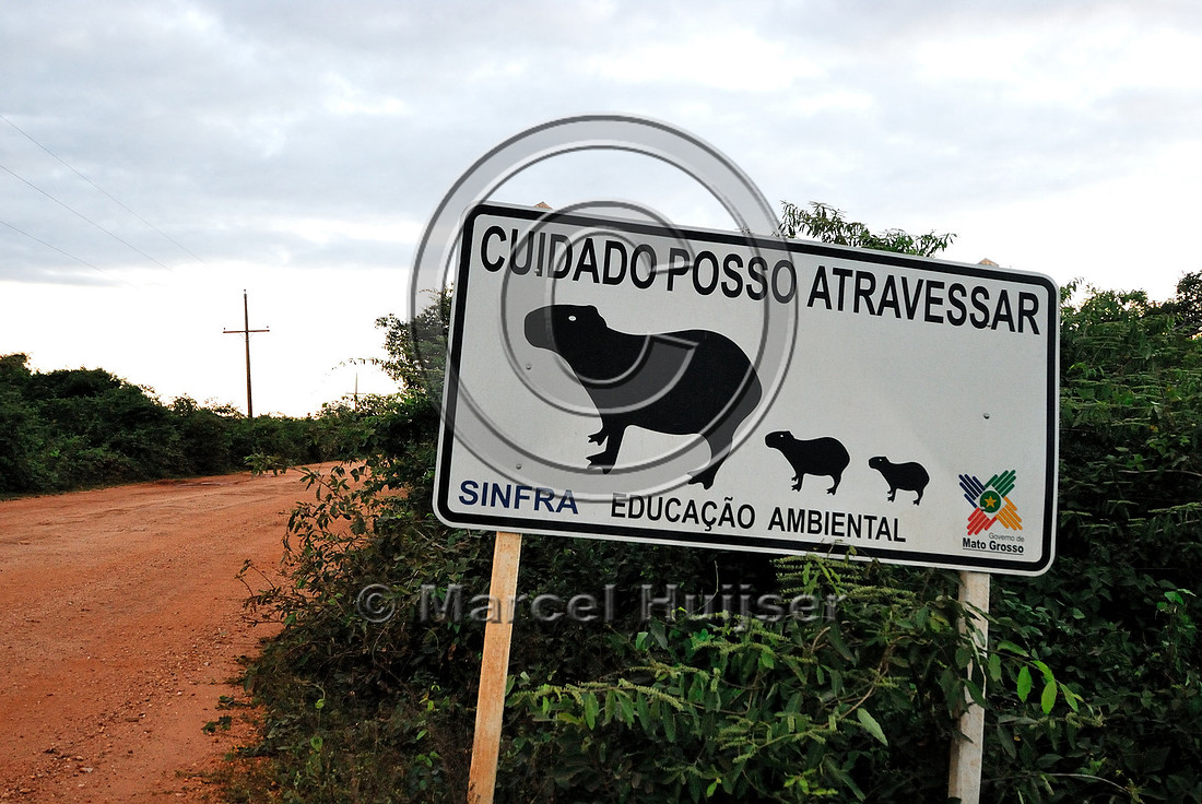 Road ecology blog: Wildlife warning sign for capybara (Hydrochoerus hydrochaeris), Transpantaneira, Mato Grosso, Brazil