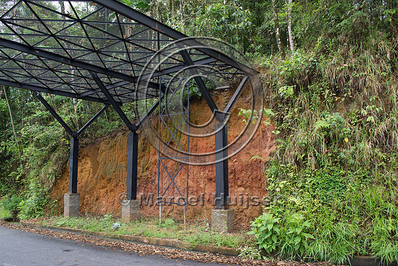 Canopy crossing, "park road" (estrada-parque) Capelinha-Mauá (R