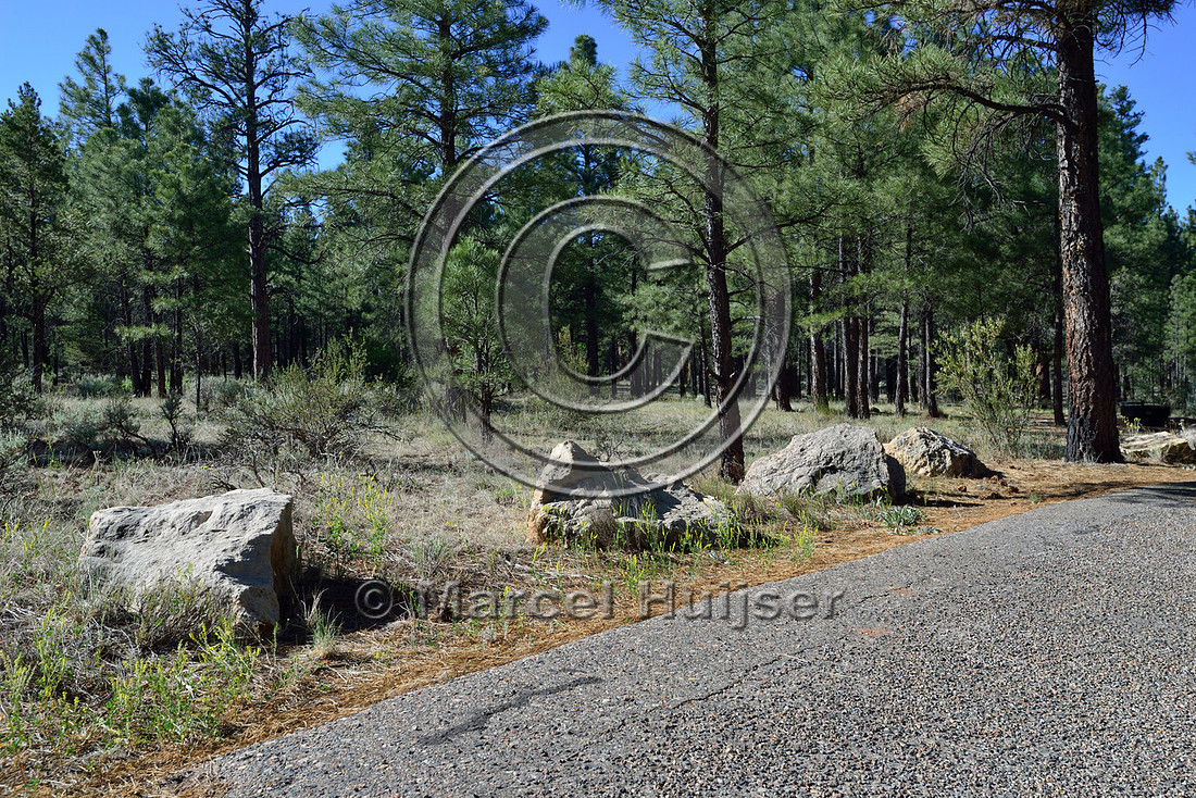 Road ecology blog: Boulders placed along road to discourage off-road driving of vehicles, Arizona, USA