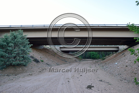 Wildlife underpass ("east underpass" at Little green Valley) for deer (Odocoileus spp.) and elk (Cervus canadensis) along SR 260, east of Payson, Arizona, USA