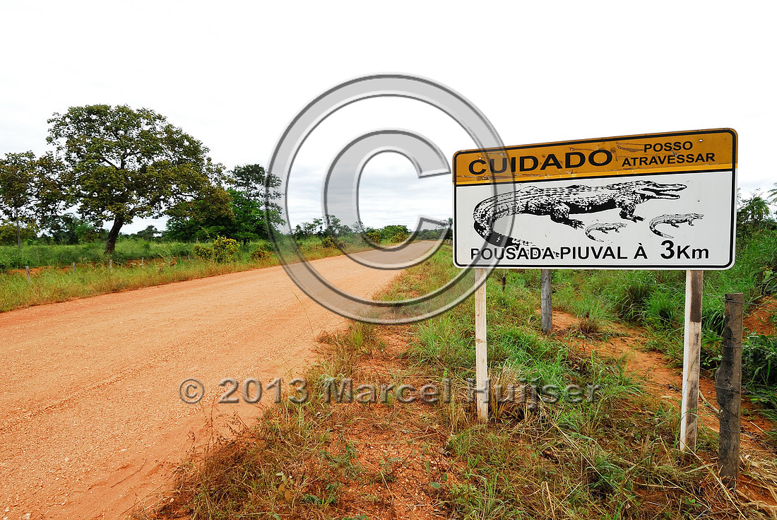 Road ecology blog: Wildlife warning sign for yacare caiman (Caiman yacare), Transpantaneira, Pantanal, Mato Grosso, Brazil