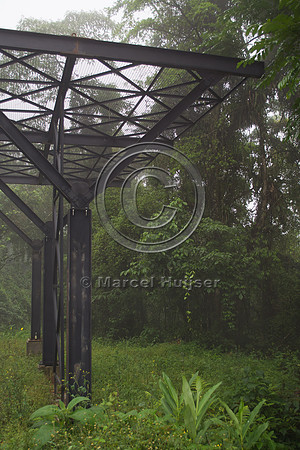 Canopy crossing for arboreal mammals, "park road" (estrada-parqu