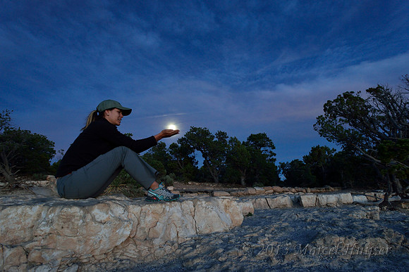 Tinker Bell in hands, Arizona, USA