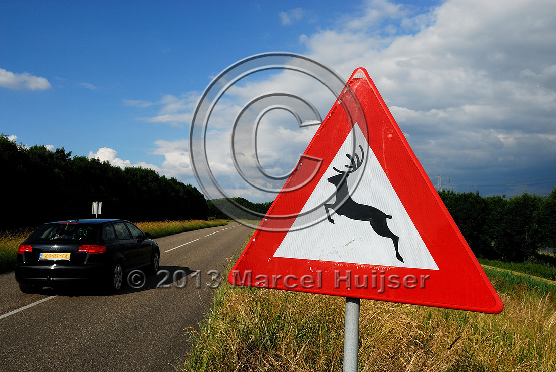 Road ecology blog: Deer warning sign, Flevoland, The Netherlands