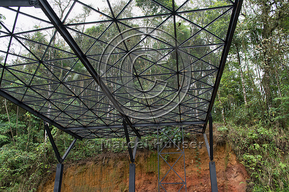 Canopy crossing, "park road" (estrada-parque) Capelinha-Mauá (R