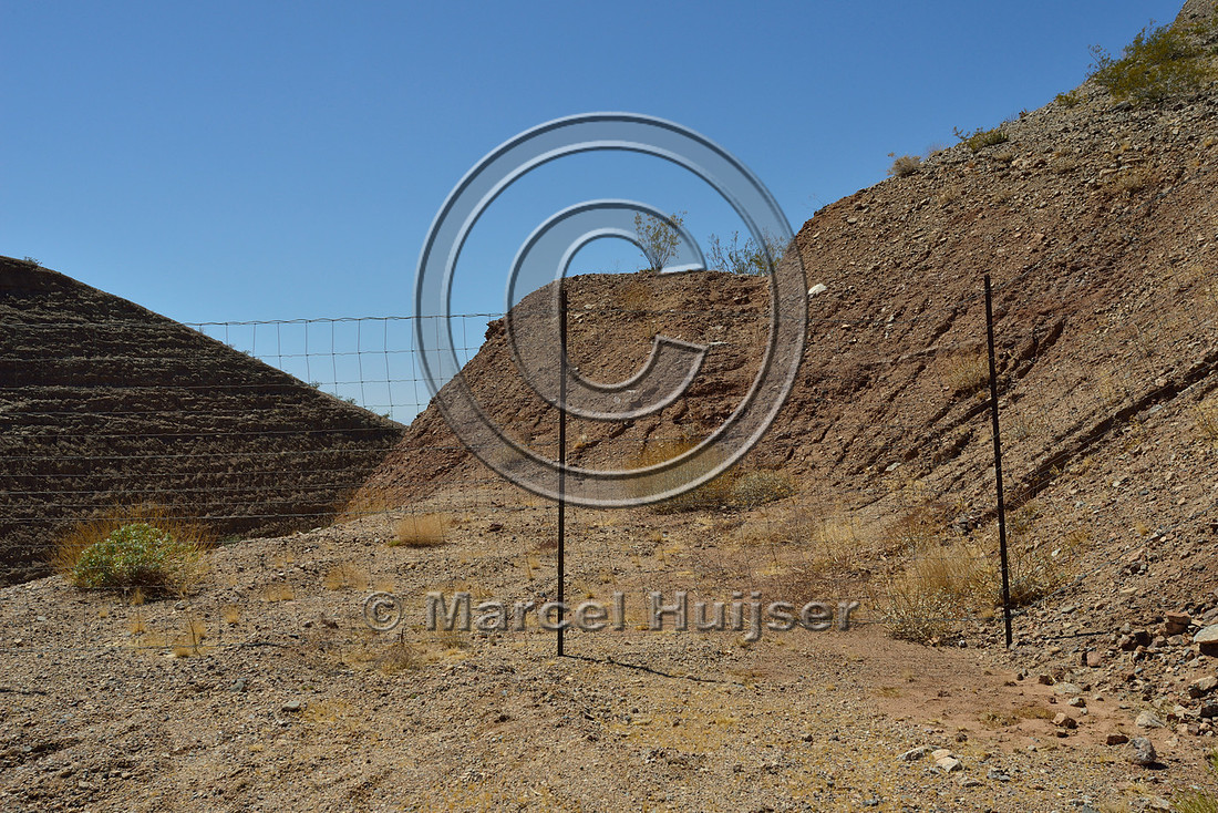 Road ecology blog: Wildlife fence designed for desert bighorn sheep (Ovis canadensis nelsoni), US Hwy 93, NW Arizona, USA