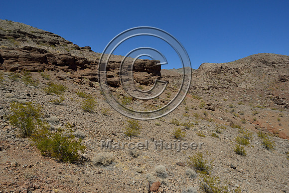 Approach on east side of wildlife overpass designed for desert bighorn sheep (Ovis canadensis nelsoni), US Hwy 93, NW Arizona, USA