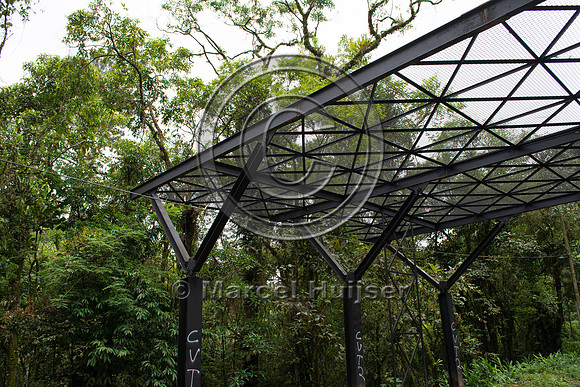 Canopy crossing, "park road" (estrada-parque) Capelinha-Mauá (R