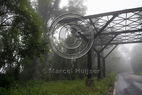 Canopy crossing for arboreal mammals, "park road" (estrada-parqu