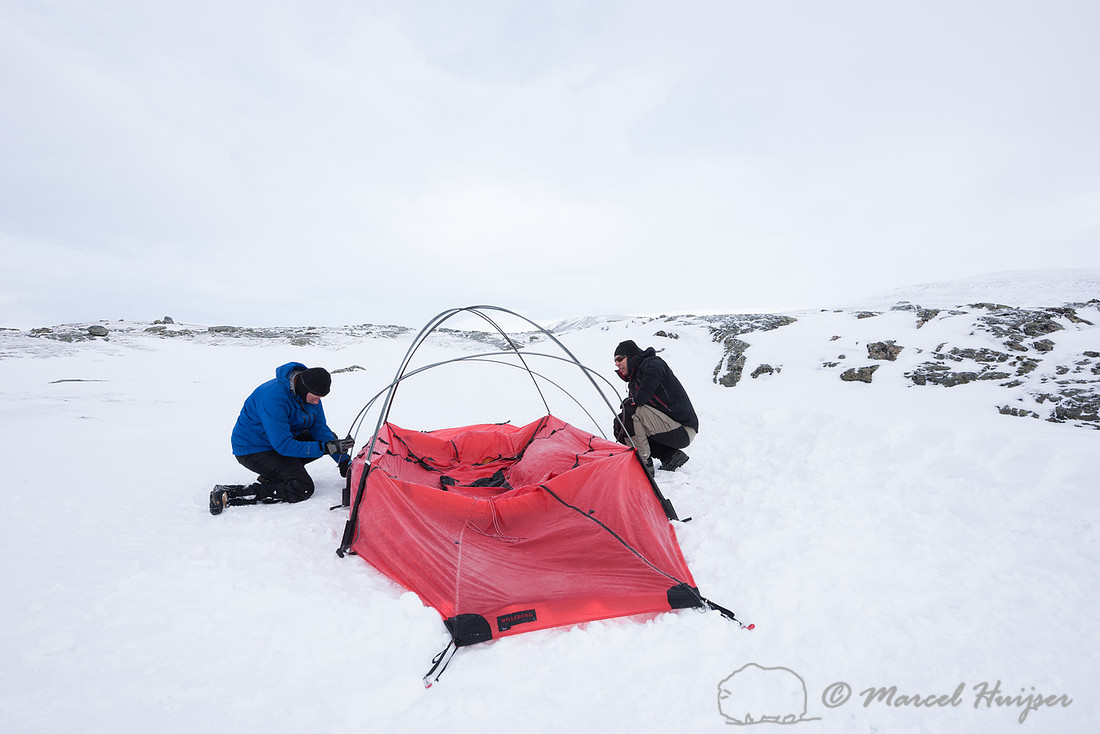 Niels Kooijman and Marcel Huijser pitch the tent, Dovrefjell, No