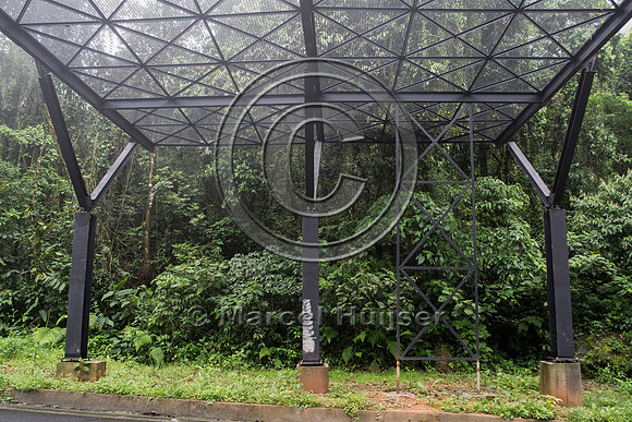 Canopy crossing for arboreal mammals, "park road" (estrada-parqu
