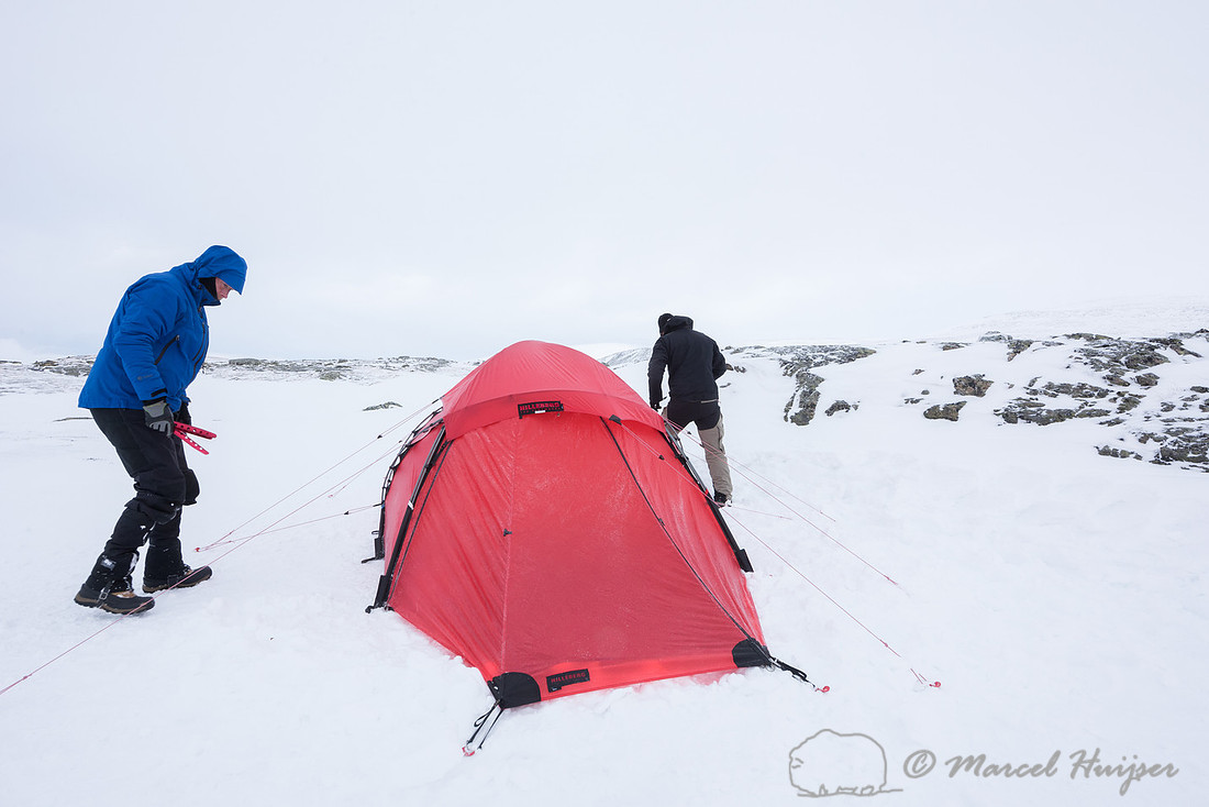 Niels Kooijman and Marcel Huijser pitch the tent, Dovrefjell, No