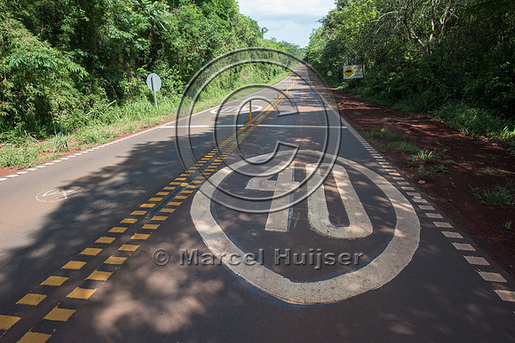 Speed reduction zone for wildlife, 40 km per hour, Puerto Iguaz