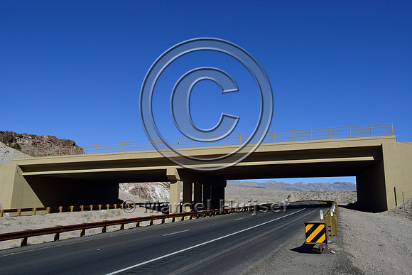 Wildlife overpass designed for desert bighorn sheep (Ovis canadensis nelsoni), US Hwy 93, NW Arizona, USA
