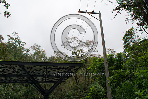 Canopy crossing, "park road" (estrada-parque) Capelinha-Mauá (R