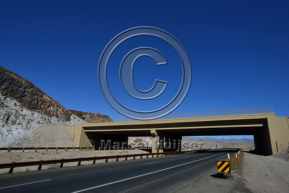 Wildlife overpass designed for desert bighorn sheep (Ovis canadensis nelsoni), US Hwy 93, NW Arizona, USA