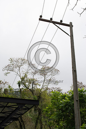 Canopy crossing, "park road" (estrada-parque) Capelinha-Mauá (R