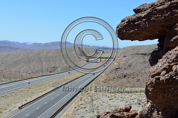 Wildlife overpass designed for desert bighorn sheep (Ovis canadensis nelsoni), US Hwy 93, NW Arizona, USA