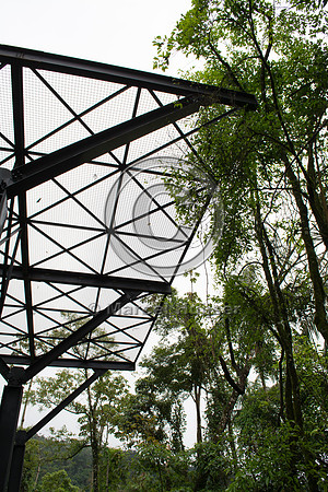 Canopy crossing, "park road" (estrada-parque) Capelinha-Mauá (R