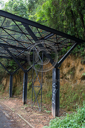 Canopy crossing, "park road" (estrada-parque) Capelinha-Mauá (R