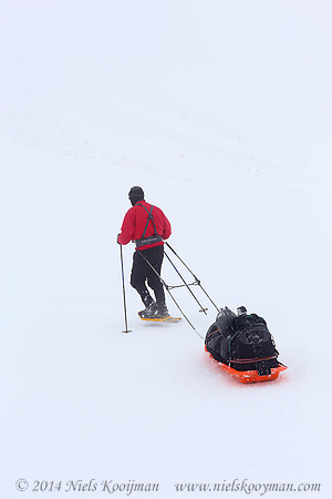 Marcel Huijser in Dovrefjell National Park, Norway
