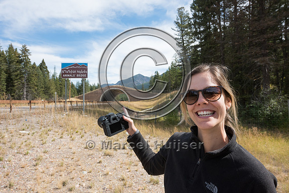 Fernanda Abra at wildlife overpass US Hwy 93 North, Flathead Ind