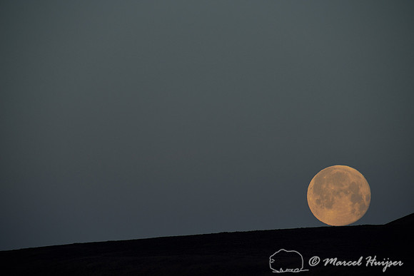 Oops... full moon rolling down the hill, near Bannack, Montana, USA